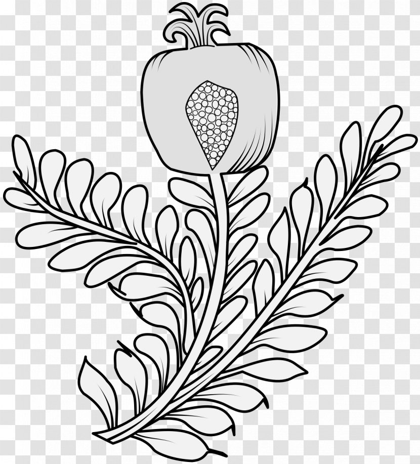 Clip Art Coloring Book Drawing Illustration Vector Graphics - Flower - Pomegranate Body Butter Transparent PNG