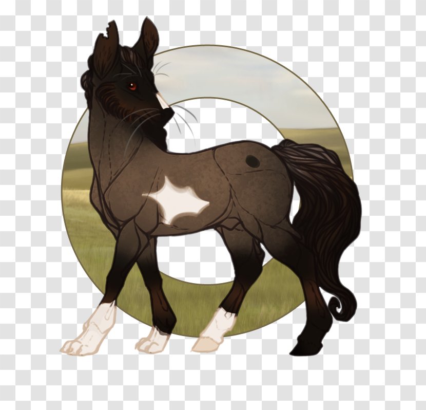 Mustang Foal Stallion Mare Colt Transparent PNG