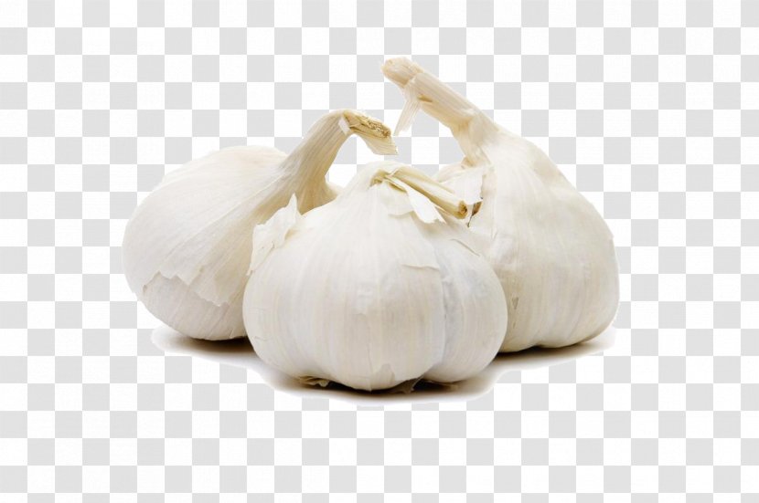 Garlic Vegetable Seasoning Food Herb - Extract - Three Transparent PNG