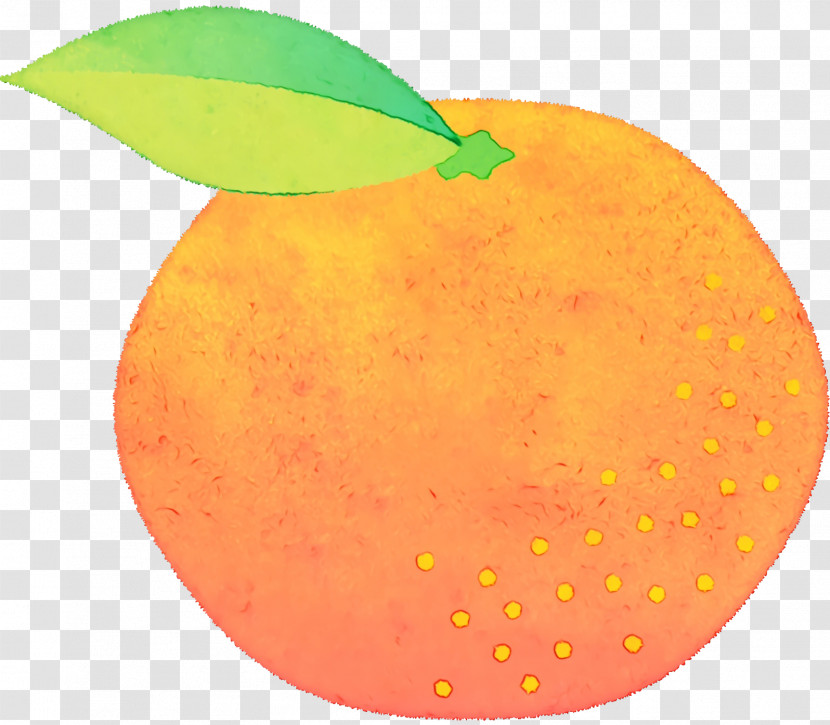 Citrus Apple Apple Transparent PNG