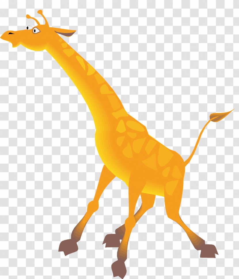 Giraffe - Wildlife - Animal Transparent PNG