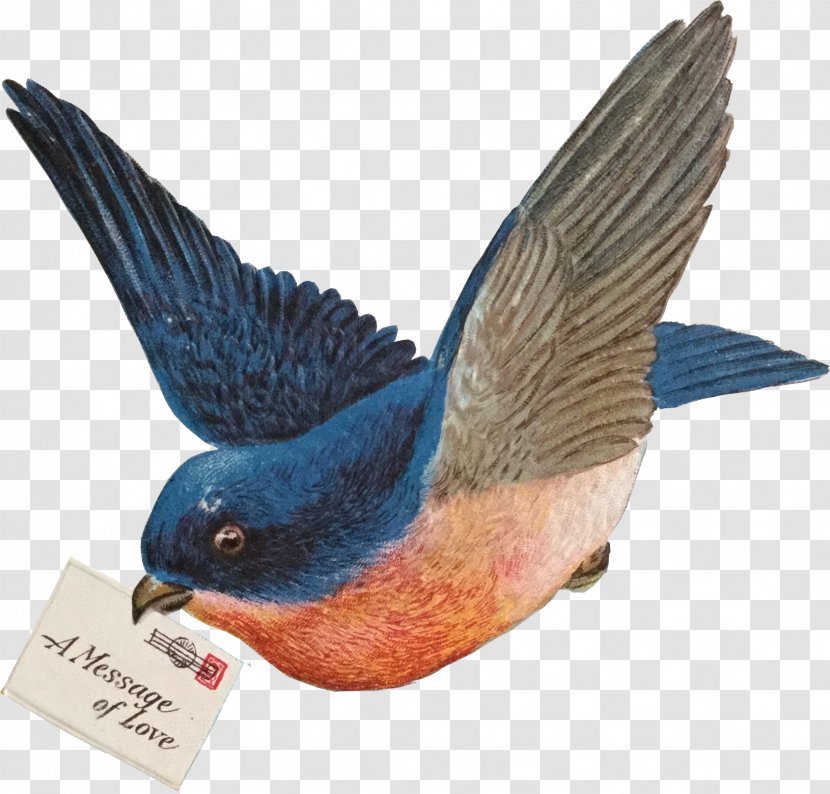 Bird Beak Art Sales Garage Sale - Organism - Blue Transparent PNG