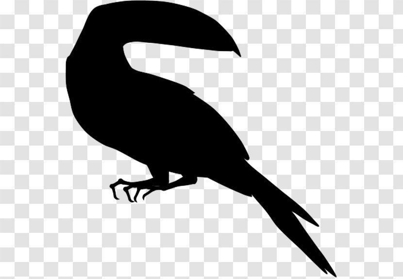Beak Clip Art Fauna Silhouette - Coloring Book - New Caledonian Crow Transparent PNG