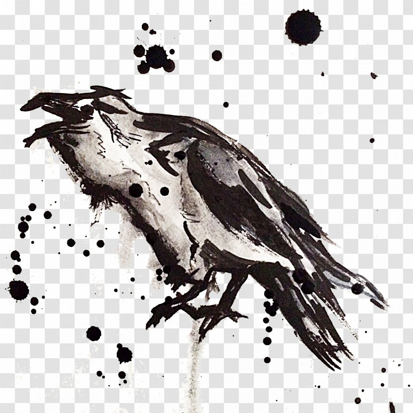 Bird Drawing Monochrome Photography - White - Raven Transparent PNG