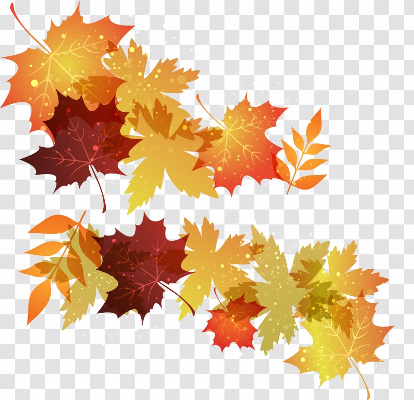 Autumn Leaf Color Image Maple Transparent PNG