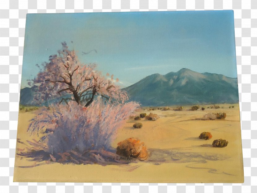 Desert Painting Ecoregion Sky Plc Transparent PNG