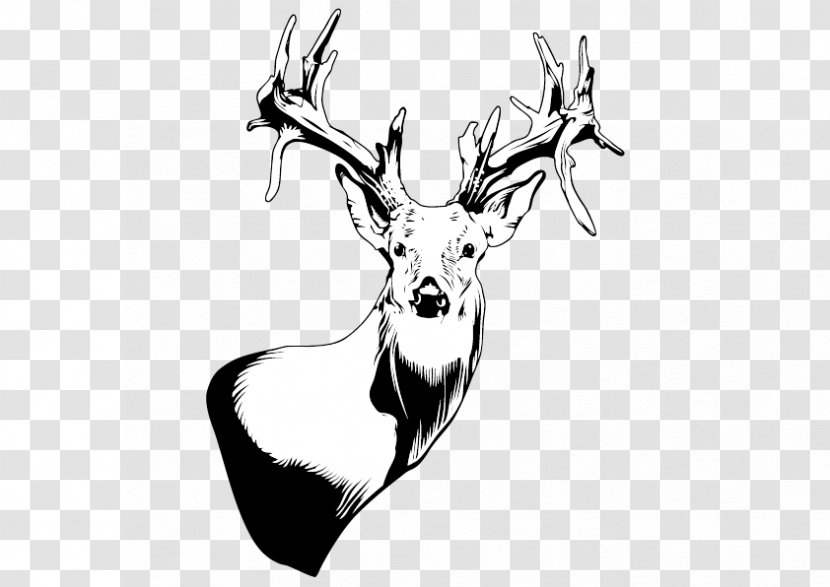Reindeer Black And White - Vector Deer Transparent PNG