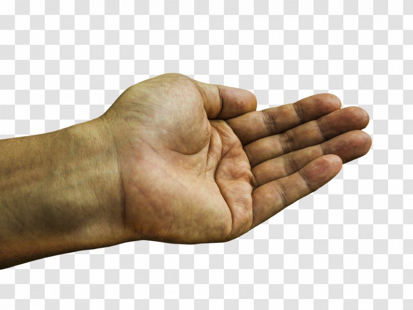Hand Finger Nail Dlan - Manicure - Hands Transparent PNG