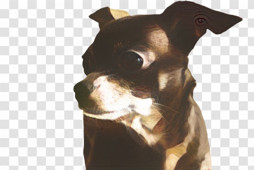 Cute Dog - Fawn Staffordshire Bull Terrier Transparent PNG