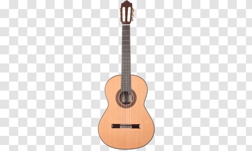 Ukulele Classical Guitar Musical Instruments Acoustic - Frame Transparent PNG