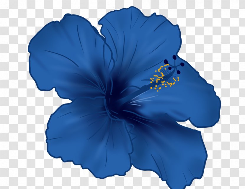 Shoeblackplant Flower Roselle Mallows Blue Hibiscus - Malvales Transparent PNG