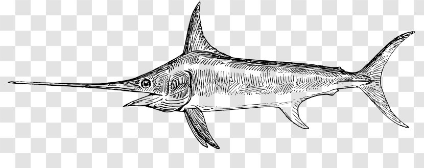 Swordfish Drawing Line Art Clip - Marlin - Clipart Transparent PNG