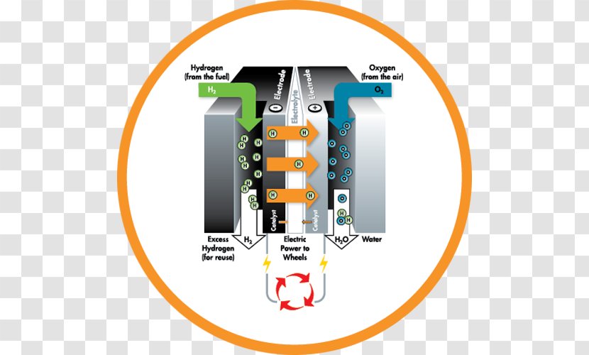 Fuel Cells Cell Bus Electricity Transparent PNG