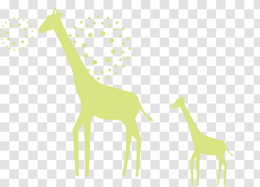 Giraffe Deer Illustration - Grass Transparent PNG
