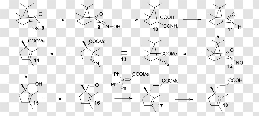 Vitamin B-12 White System Structure - Frame - B12 Transparent PNG