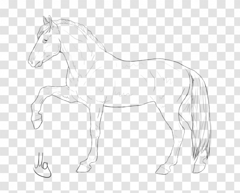 Mane Foal Mustang Bridle Stallion - White - Quarter Horse Transparent PNG