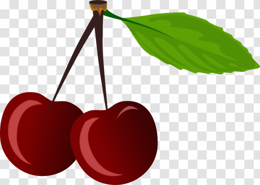 Cherry Leaf Red Plant Tree Transparent PNG
