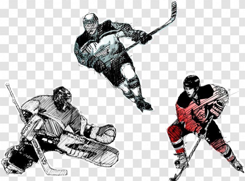 Ice Hockey Player Field Puck - Stock Photography - Vector Players Transparent PNG