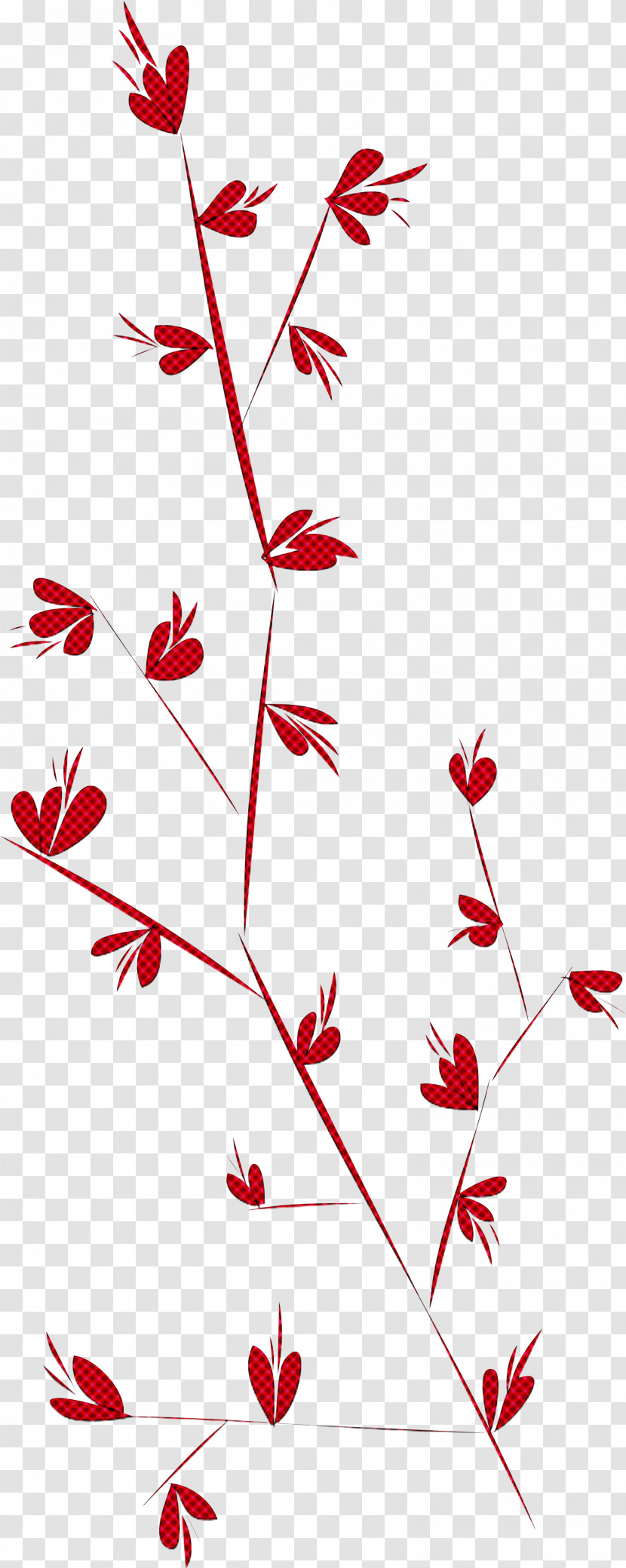 Simple Leaf Simple Leaf Drawing Simple Leaf Outline Transparent PNG