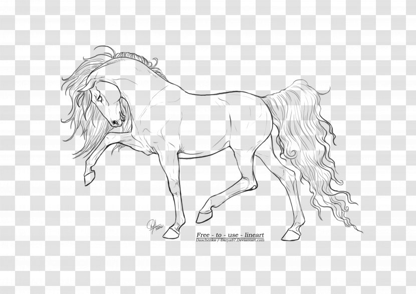 Horse Line Art Drawing Sketch - Walking Shoe Transparent PNG