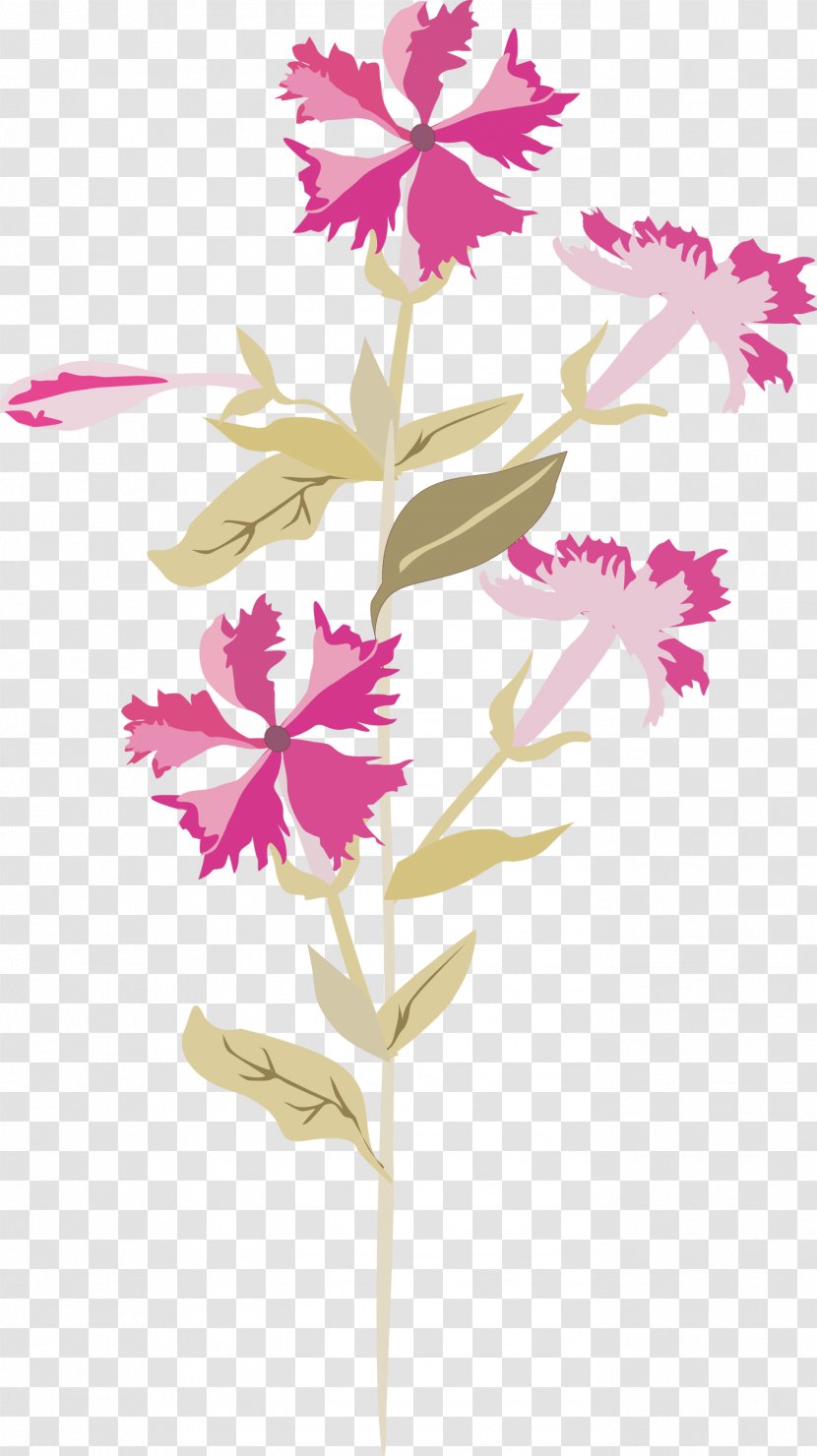 Floral Design Cut Flowers Pink M Petal - Plant Stem Transparent PNG