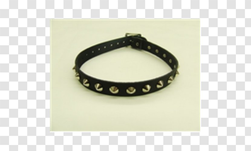 Bracelet Dog Collar Belt Buckles Transparent PNG