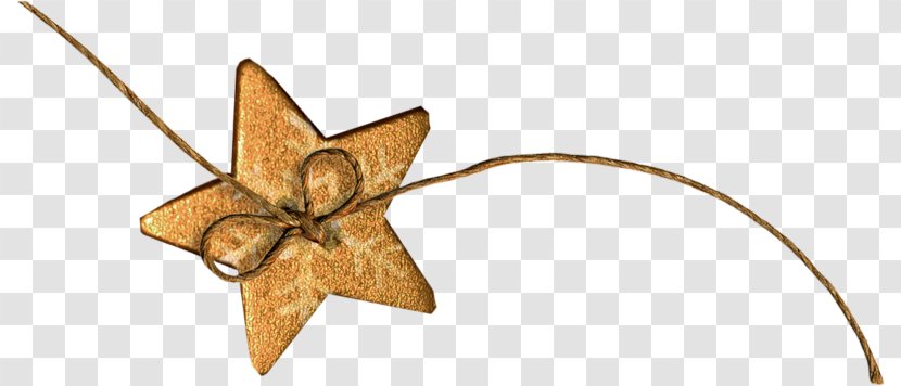 Pentagram Five-pointed Star - Cute Little Leaf Transparent PNG