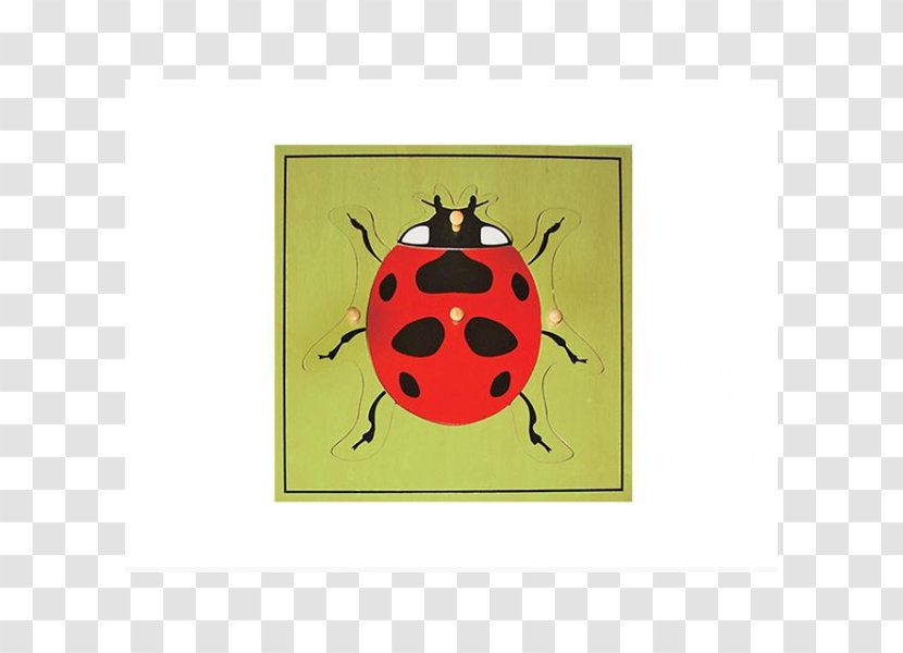 Jigsaw Puzzles Montessori Sensorial Materials Educational Toys Ladybug Puzzle - Toy Transparent PNG