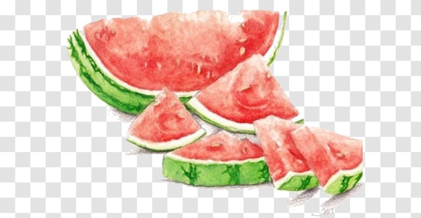 Watermelon Watercolor Painting Drawing Seedless Fruit - Vegetable - Hand Painted,Beautiful,Small Fresh,watermelon,fruit Transparent PNG