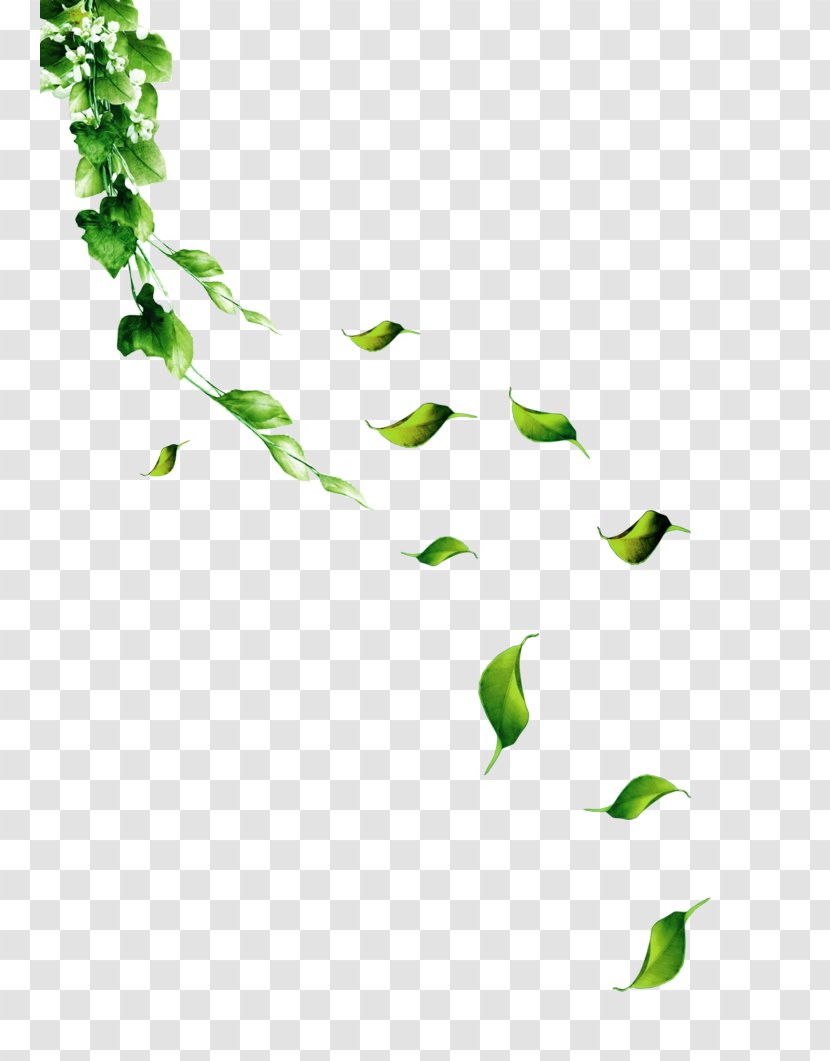 Adobe Illustrator - Tree - Green And Fresh Leaves Floating Material Transparent PNG