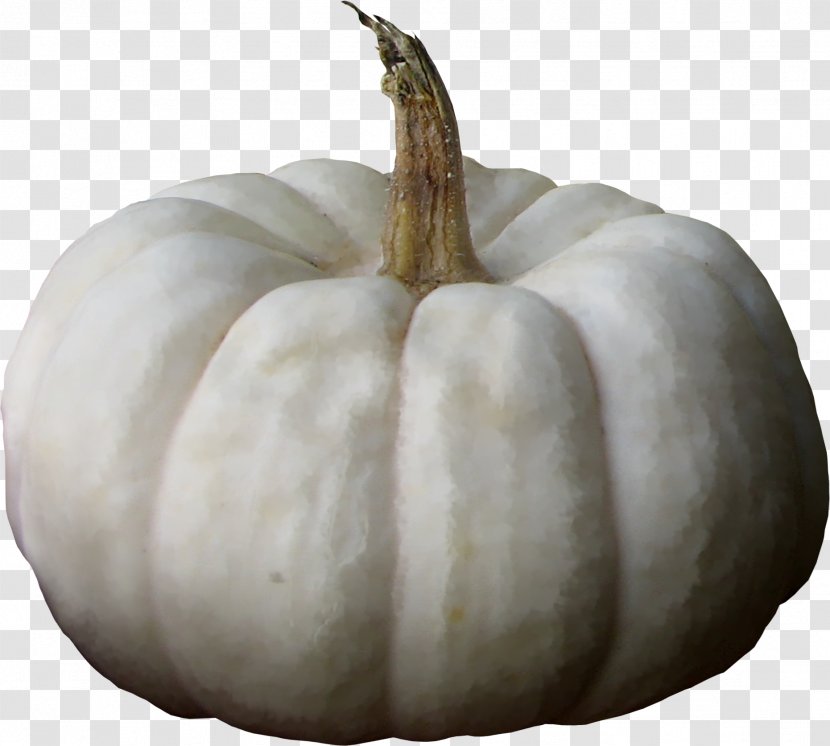 Pumpkin Calabaza Winter Squash Wax Gourd - Order - Old White Transparent PNG
