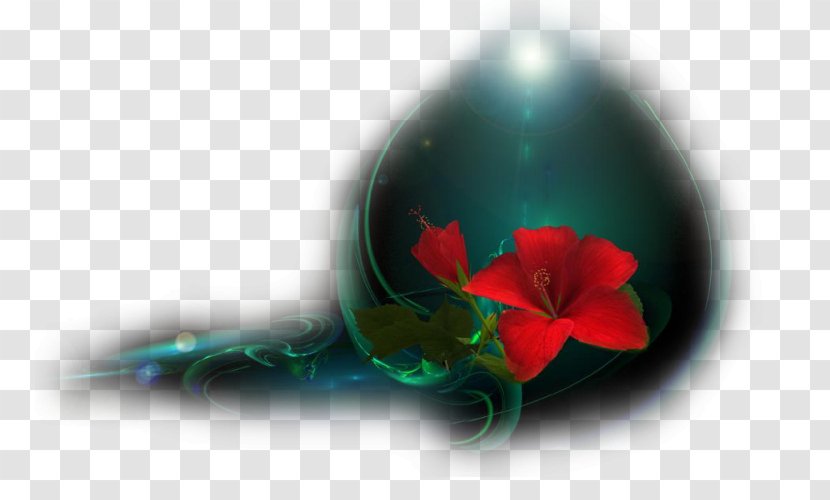 Flower Petal Transparent PNG