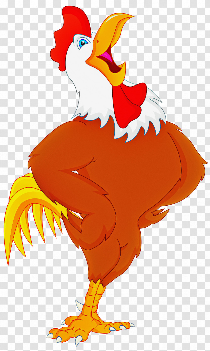 Rooster Chicken Bird Cartoon Beak Transparent PNG