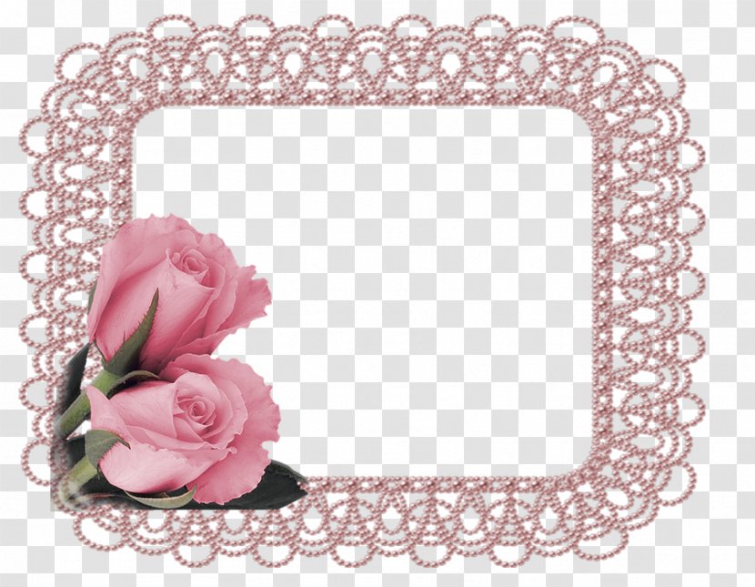 Garden Roses Floral Design Cut Flowers - Rose Family Transparent PNG