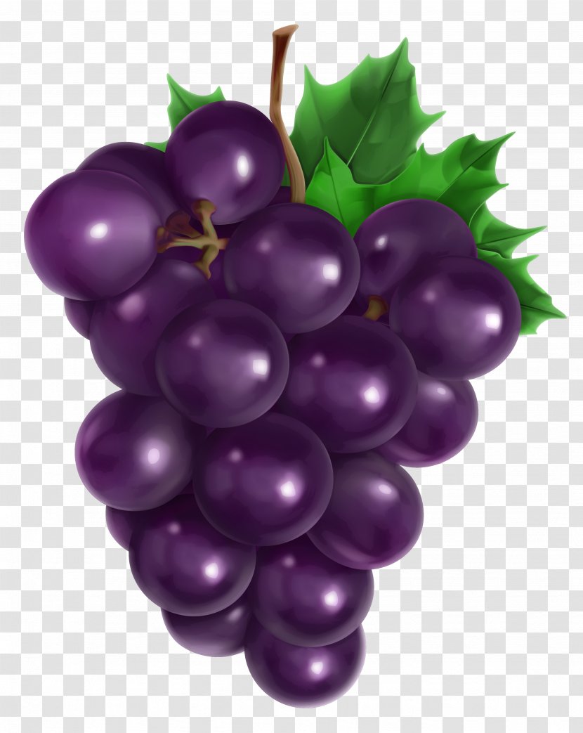 Juice Common Grape Vine Fruit - Purple - Transparent Clipart Picture Transparent PNG