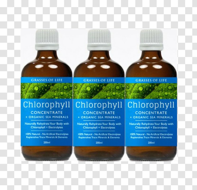 Sport Electrolyte Grasses Of Life Chlorophyll Hydrate - Colloid - Aloe Vera Cosmetics Australia Transparent PNG