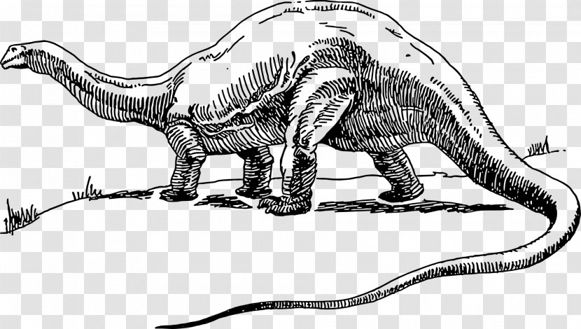 Apatosaurus Brontosaurus Tyrannosaurus We're Back! A Dinosaur's Story Stegosaurus - Wildlife - Artwork Transparent PNG