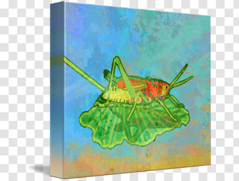 Butterfly Insect Painting Fine Art - Grasshopper Transparent PNG