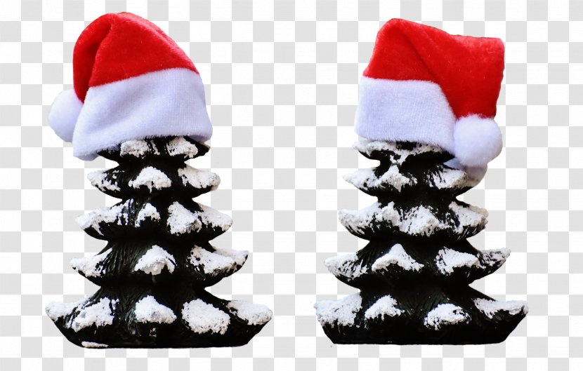 Christmas Tree Day Stock.xchng Ornament Lights - Show Terror Twins Transparent PNG