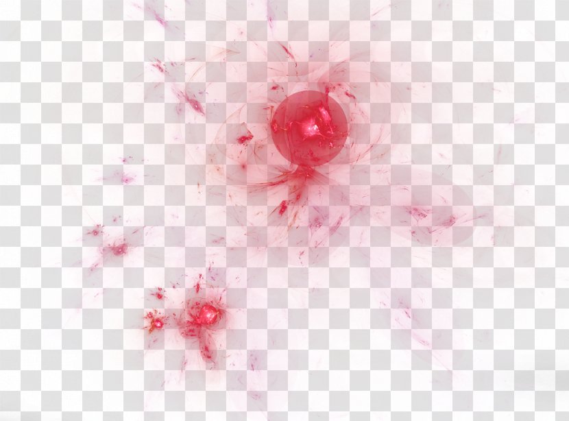 Light Download Desktop Wallpaper - Pink - Flowers Background Effect Transparent PNG