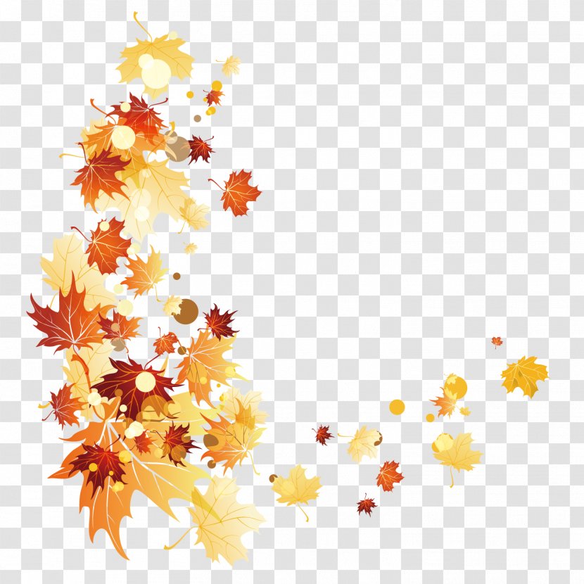 Autumn Leaf Color - Maple - Beautiful Leaves Background Transparent PNG