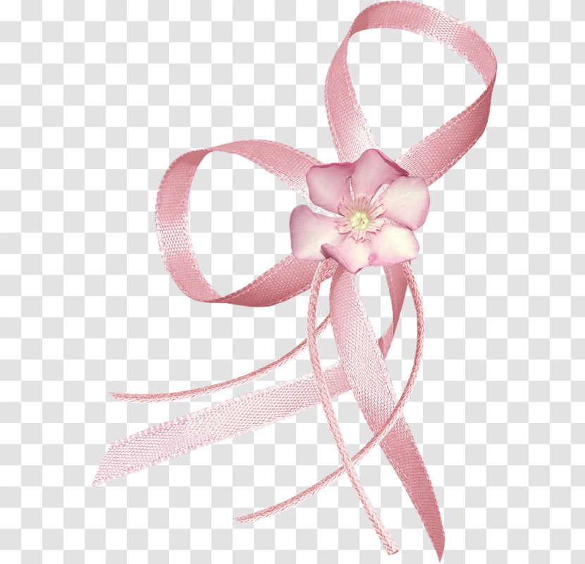 Pink Flower Petal Ribbon Garden Roses - Hair Tie Transparent PNG