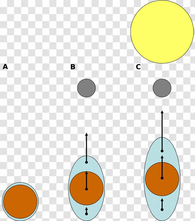 Tide Tidal Force Gravitation Intertidal Zone Sea Transparent PNG