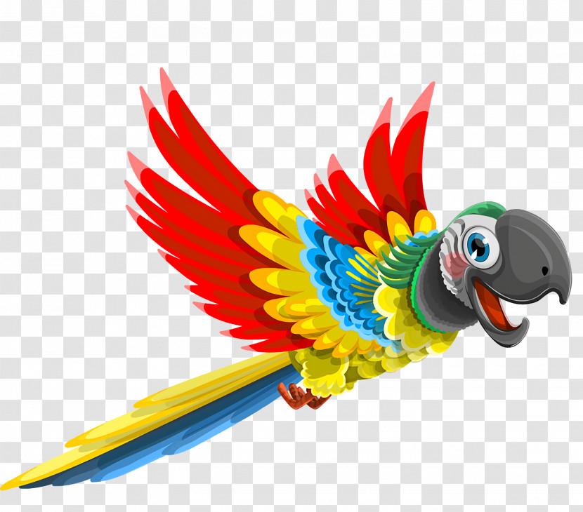 Birds Parrots Cockatiel Macaws Budgerigar Transparent PNG
