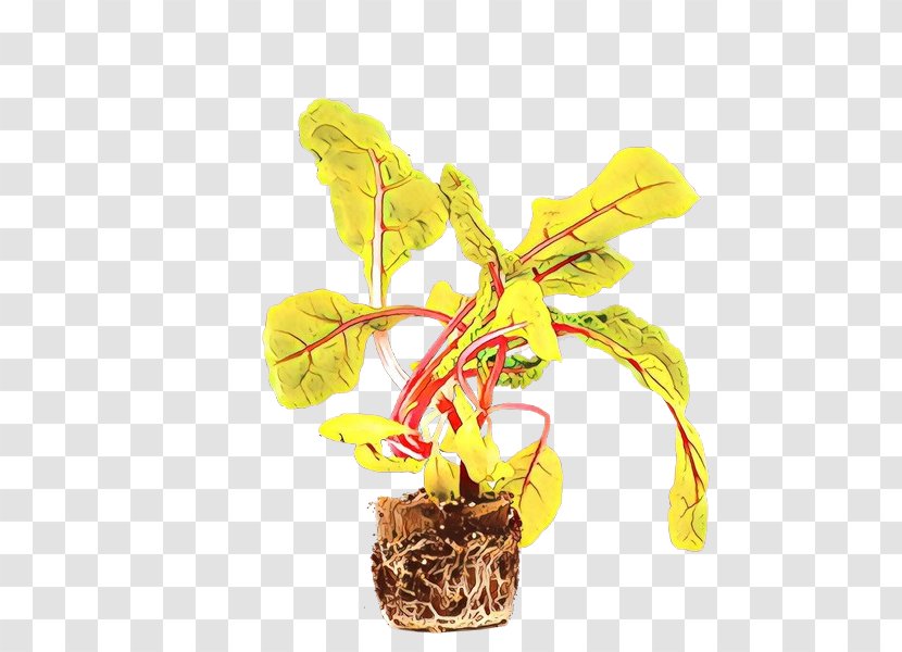 Flower Stem - Perennial Plant Transparent PNG