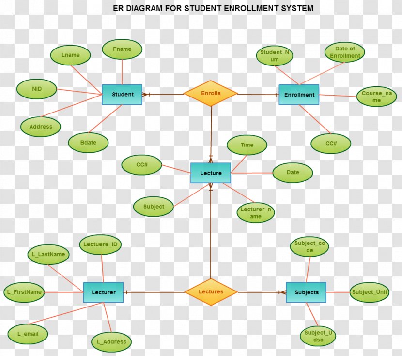 Entity–relationship Model Diagram Database Toad Data Modeler Information - Entityrelationship - Relationship Transparent PNG