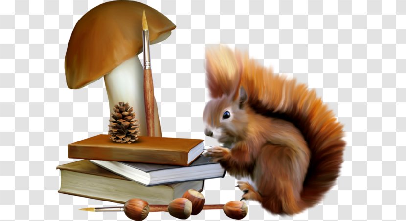 Squirrel - Drawing - A Transparent PNG