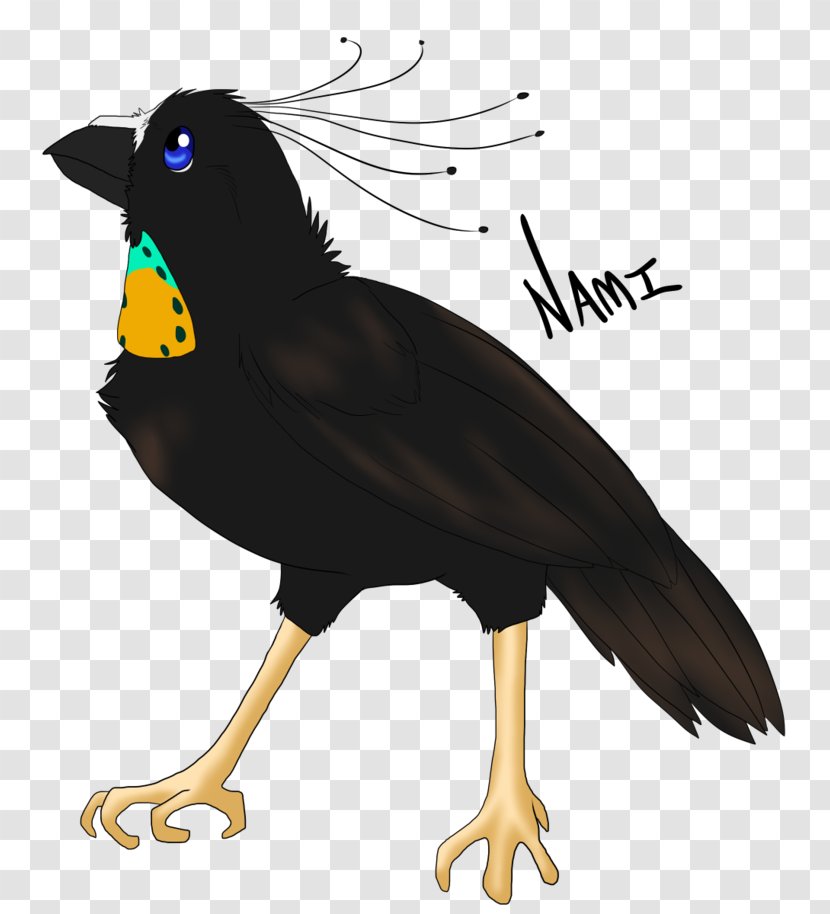 DeviantArt Common Myna Parotia - Tree - Paradise Bird Transparent PNG