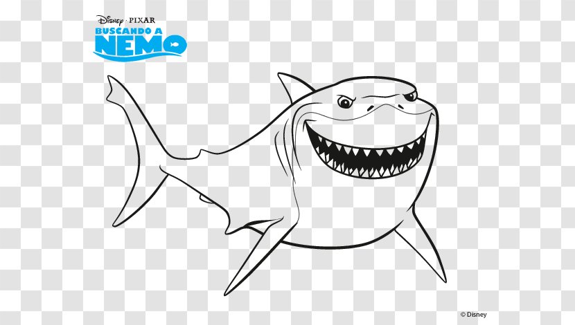 Bruce Nemo Coloring Book Drawing Shark - Frame Transparent PNG