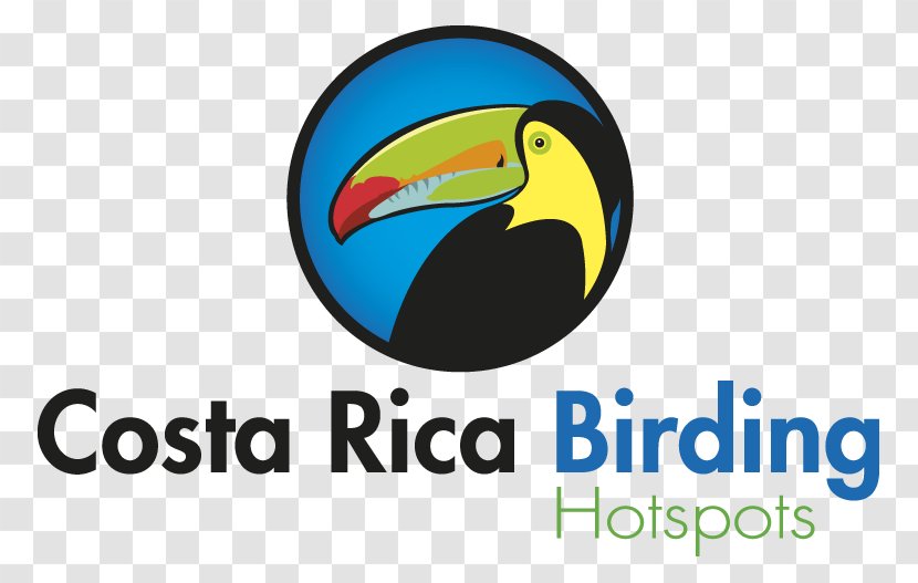 Birdwatching Arenal Volcano Obarenes Observatory Lodge & Spa - Business - Bird Transparent PNG
